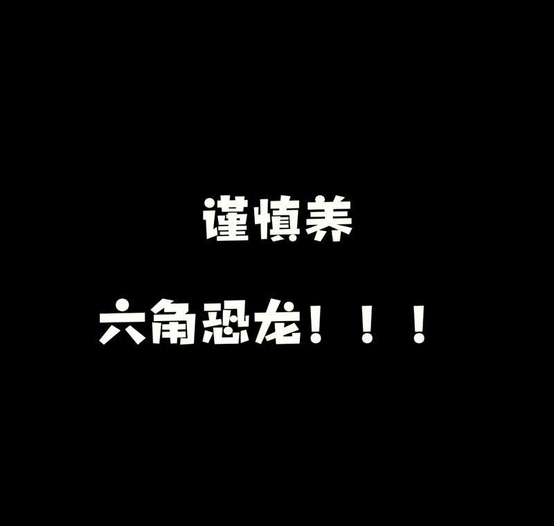 六角龍魚好養(yǎng)不 六角龍魚好養(yǎng)不 龍魚百科 第7張