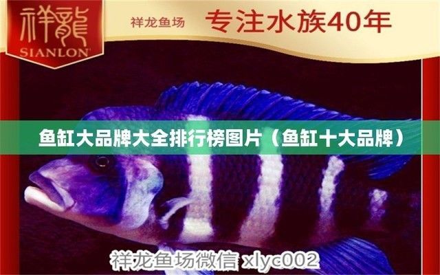 魚缸牌子大全，水族箱過濾系統(tǒng)推薦魚缸品牌性價(jià)比對(duì)比魚缸材質(zhì)優(yōu)缺點(diǎn)分析
