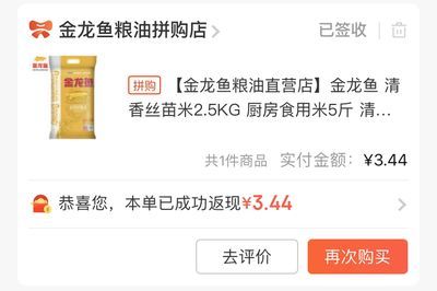 龍魚需要24小時(shí)開燈嗎