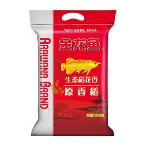 龍魚需要24小時(shí)開燈嗎