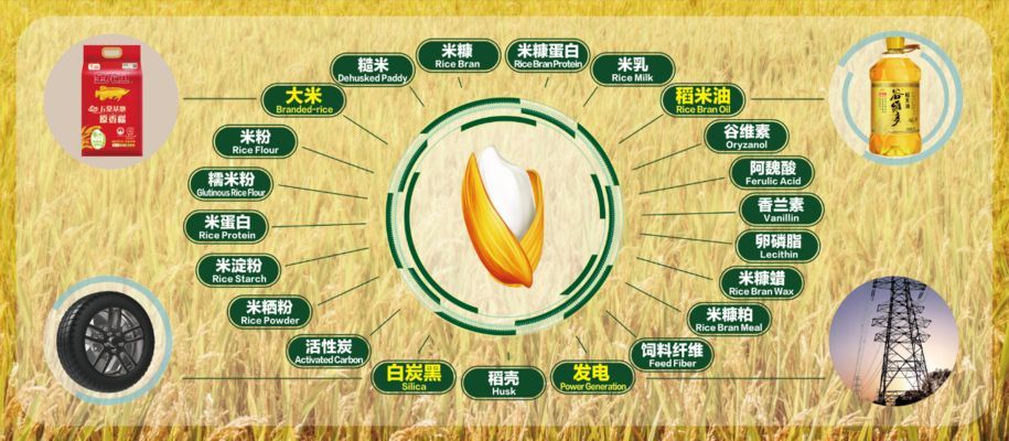 金龍魚 糧食安全
