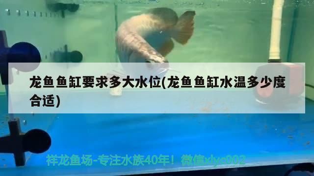 龍魚水位的正確方法：如何正確調整龍魚的水位 龍魚水位的正確方法：如何正確調整龍魚的水位 龍魚百科 第5張
