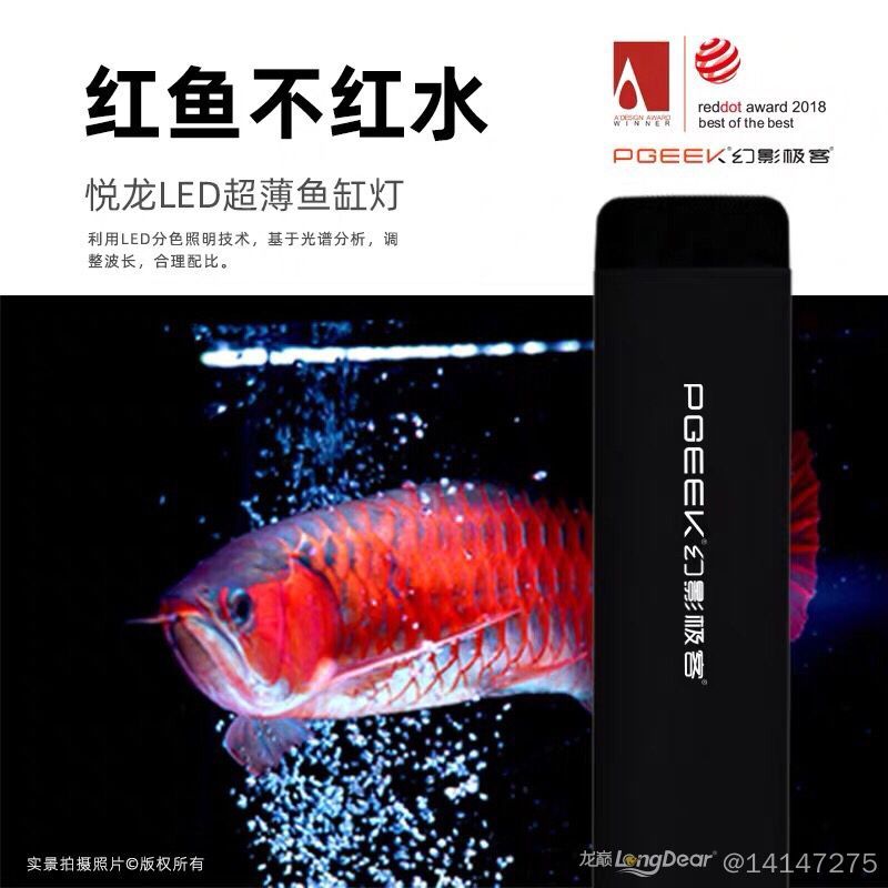紅龍魚價格及圖片大全集欣賞圖解（紅龍魚價格及圖片大全集欣賞圖解） 紅龍魚價格及圖片大全集欣賞圖解（紅龍魚價格及圖片大全集欣賞圖解） 龍魚百科