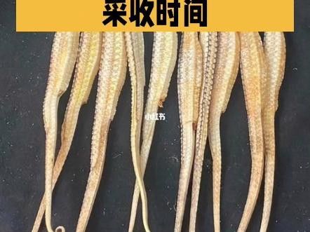 海龍干的價格是多少？