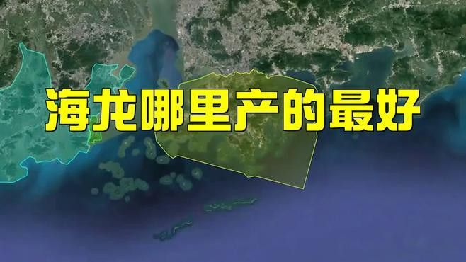 海龍干的價格是多少？