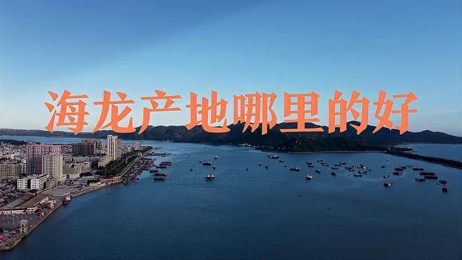 海龍干的價格是多少？