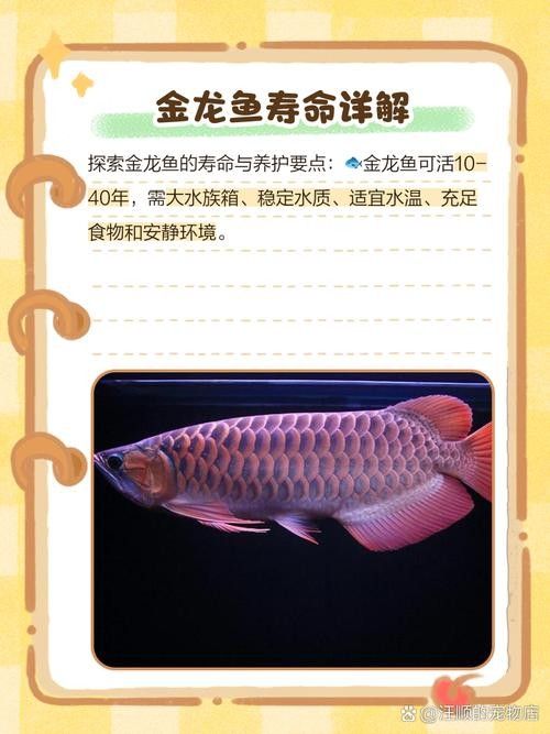 龍魚圖片大全大圖霸氣高清頭像
