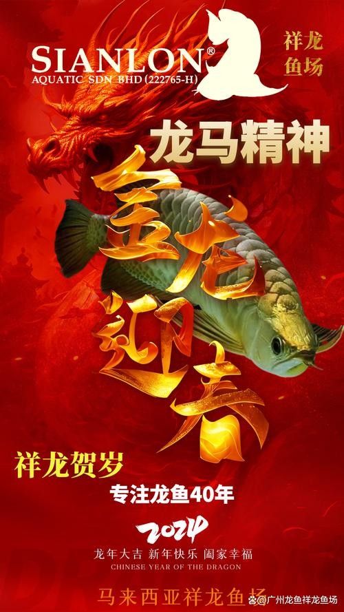 龍魚圖片大全大圖霸氣高清頭像