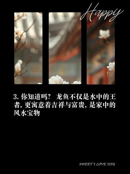 龍魚圖片大全大圖霸氣高清頭像
