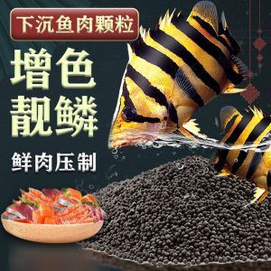 巴西亞魚繁殖期飼料品牌推薦：巴西亞魚繁殖期飲食指南