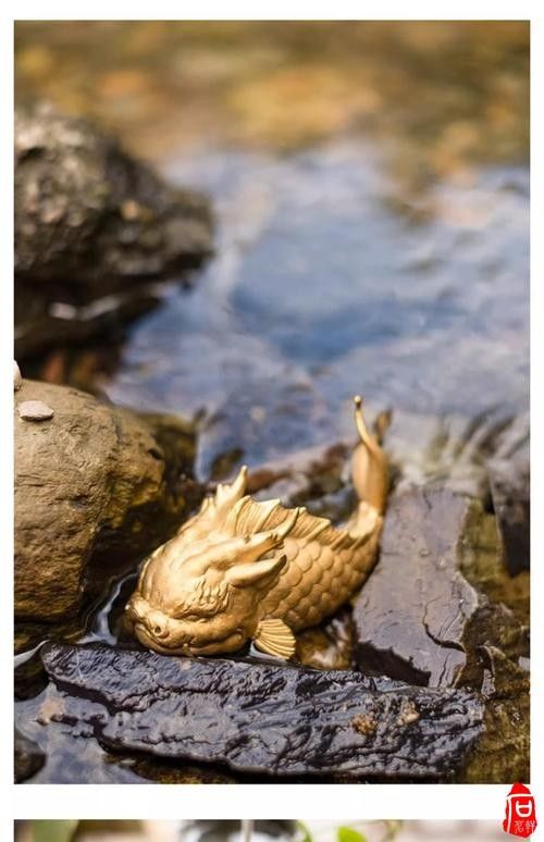 龍魚魚缸布景圖片大全集 龍魚魚缸布景圖片大全集 龍魚百科 第33張