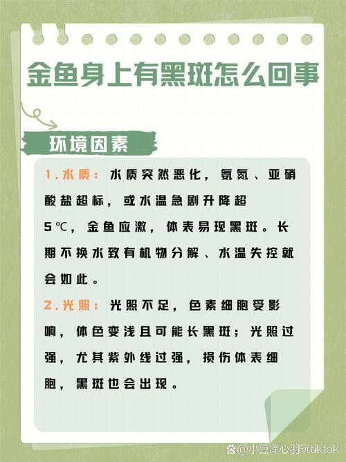 金龍魚(yú)長(zhǎng)黑斑 金龍魚(yú)長(zhǎng)黑斑 龍魚(yú)百科 第8張