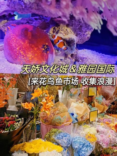 北京買龍魚的地方 北京買龍魚的地方 龍魚百科 第1張