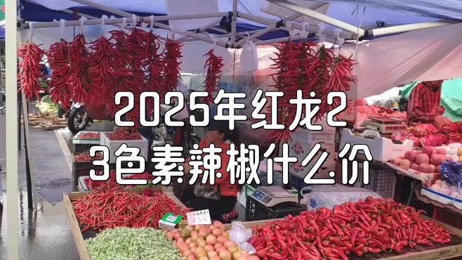 綠皮辣椒紅龍的市場需求如何？