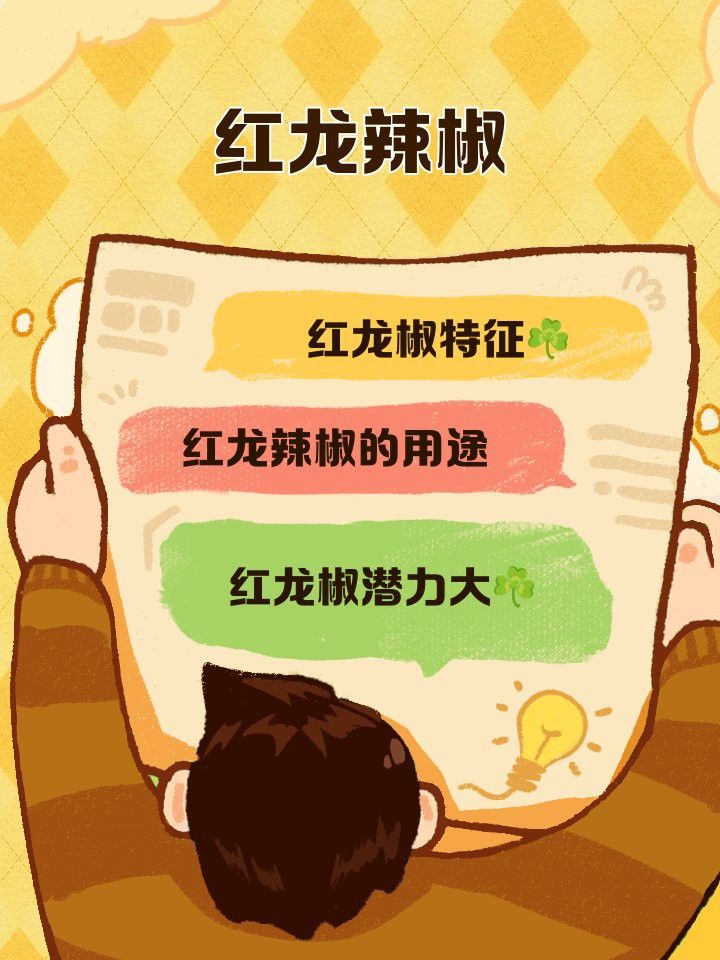 綠皮辣椒紅龍的市場需求如何？