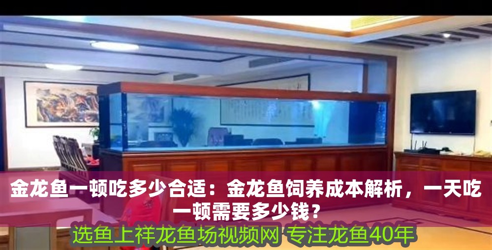 金龍魚一頓吃多少合適：金龍魚飼養成本解析，一天吃一頓需要多少錢？