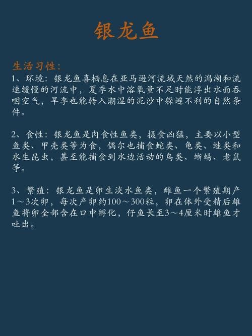 銀龍魚嘴巴一張一合