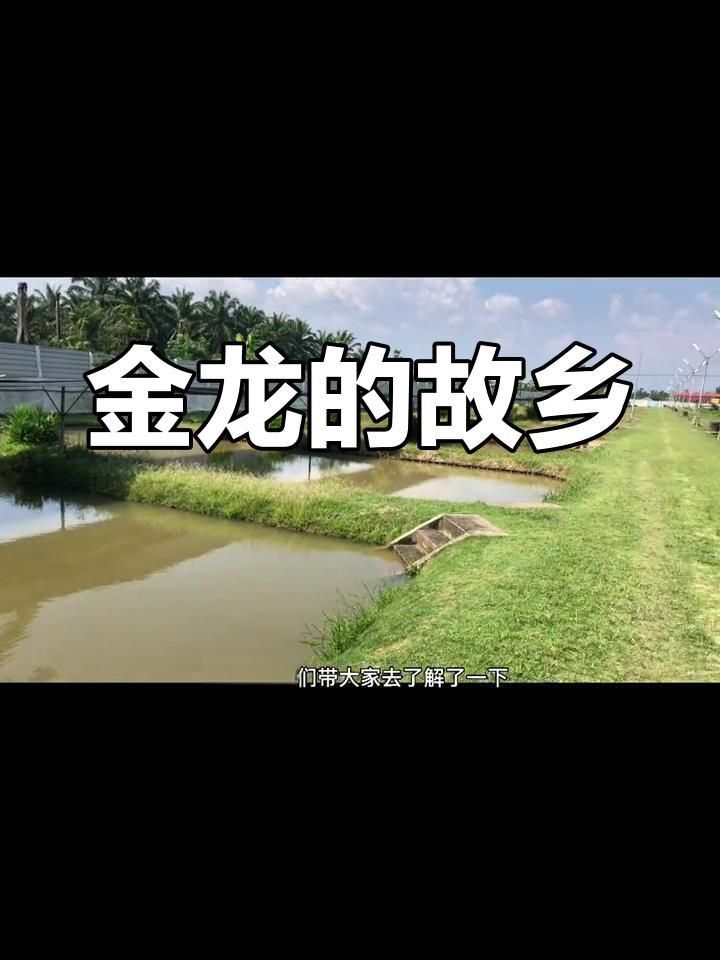 龍魚疾病種類 龍魚百科 第3張 龍魚疾病種類 龍魚疾病種類 龍魚百科 第3張