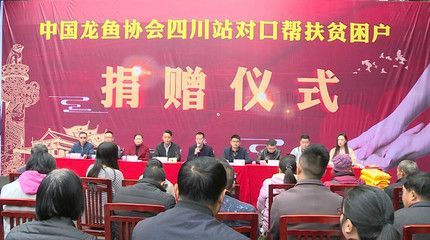 關于中國龍魚協(xié)會官網(wǎng)首頁的問題：中國龍魚協(xié)會官網(wǎng)首頁搜索結(jié)果中國龍魚協(xié)會官網(wǎng)首頁