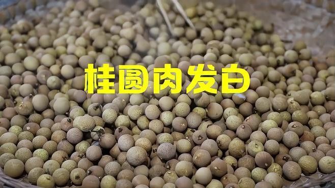 龍眼白霧癥狀的具體表現是什么？