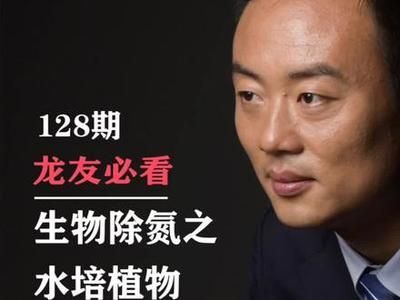 龍魚缸如何開缸養(yǎng)水培植物（龍魚缸水草養(yǎng)護技巧）