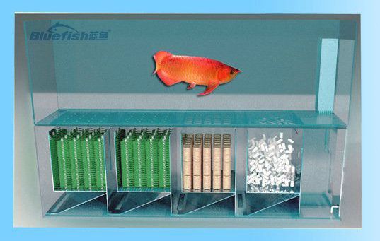 魚缸龍魚的ph值多少算正常：魚缸中龍魚的ph值正常范圍應該在6.5至7.5之間