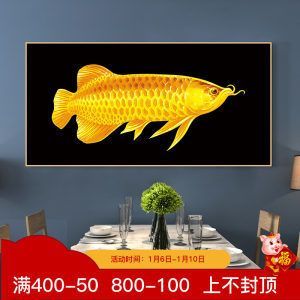 金龍魚掛畫掛在玄關可以嗎風水好嗎：金龍魚掛畫在風水中具有添財添祿、化煞驅邪的作用