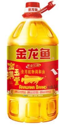 金龍銀龍魚圖片高清