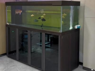 養(yǎng)龍魚的魚缸換水需要加鹽嗎：養(yǎng)龍魚的魚缸換水是否需要加鹽