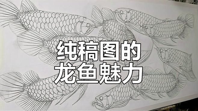 金龍魚美術教案：如何教授幼兒畫金龍魚,金龍魚美術教案