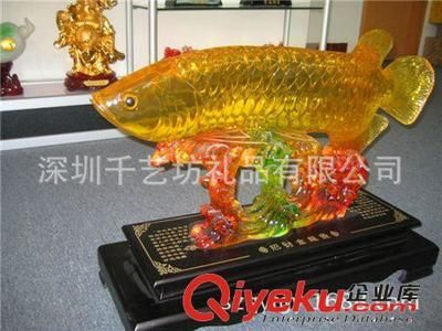 深圳龍魚批發在哪里（深圳龍魚批發市場）
