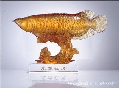深圳龍魚批發在哪里（深圳龍魚批發市場）