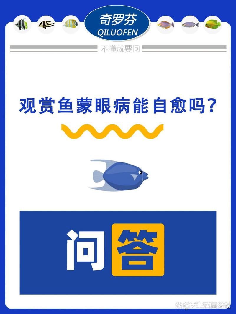 雷龍魚蒙眼能自愈嗎？ 雷龍魚蒙眼能自愈嗎？ 龍魚百科 第4張