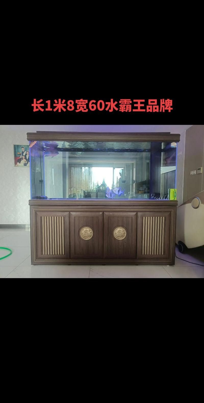銀龍魚(yú)缸尺寸圖片