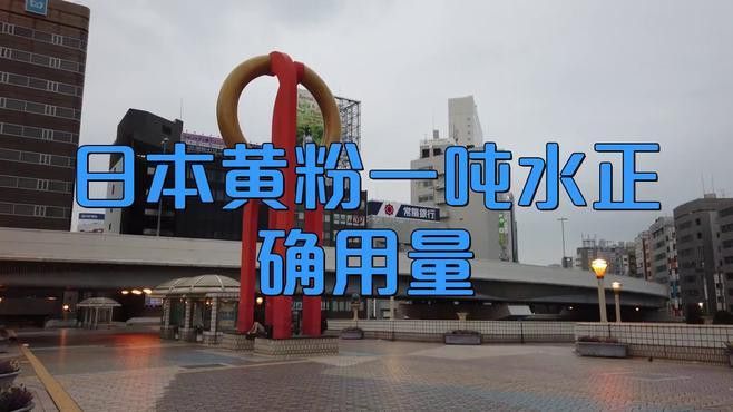 金龍魚鱗片發白可以加黃粉嗎