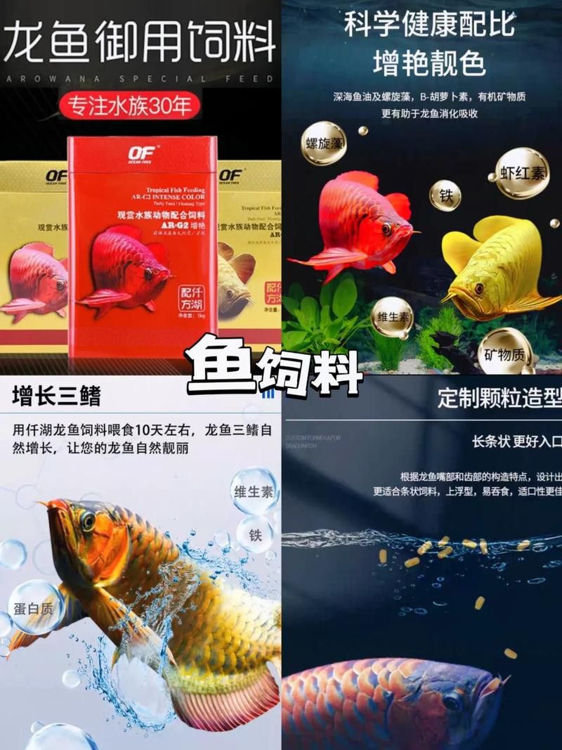 哪些品牌的龍魚飼料口碑最好？