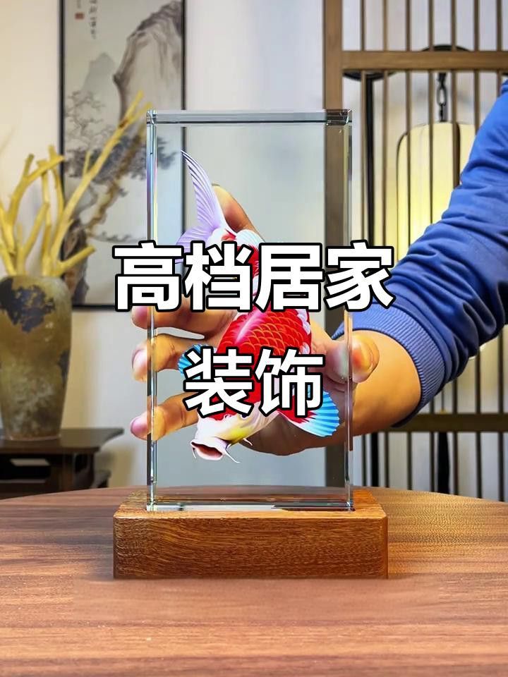 紅龍主題家居裝飾需要哪些裝飾品？ 紅龍主題家居裝飾需要哪些裝飾品？ 龍魚百科 第5張
