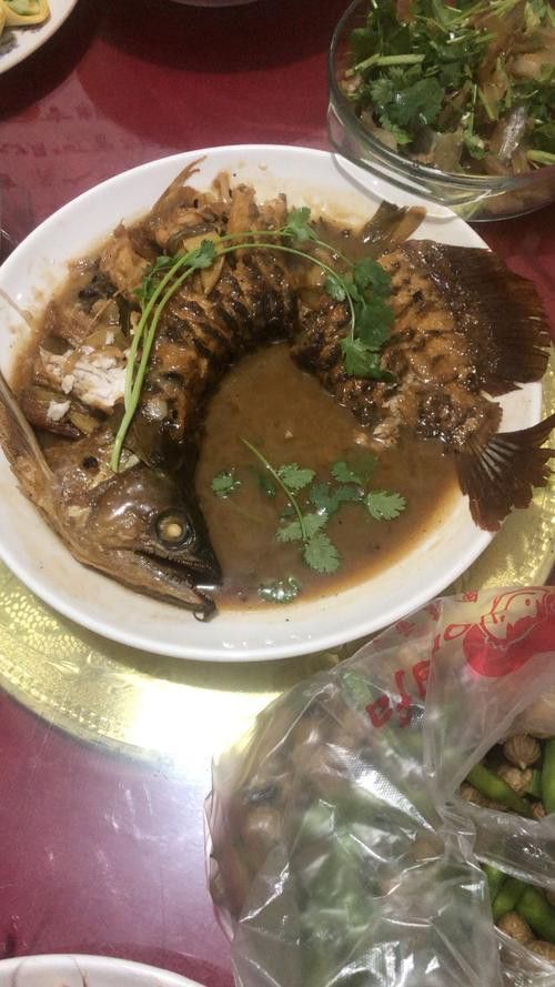 可以吃的金龍魚圖片