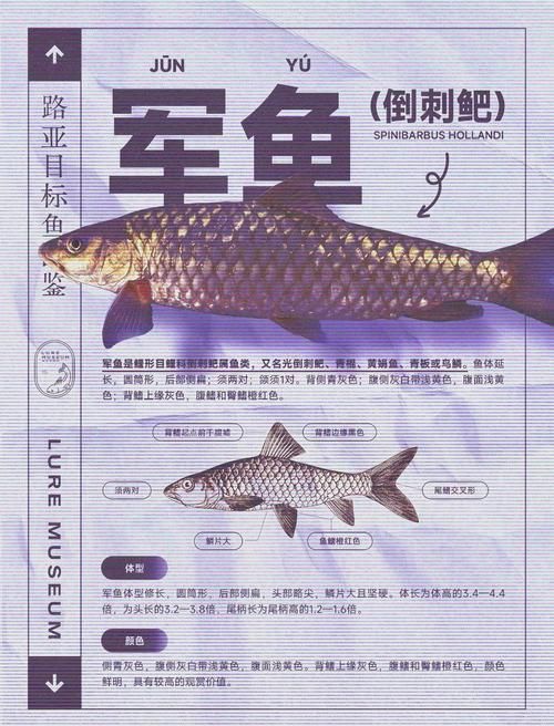 軍魚圖片及價(jià)格