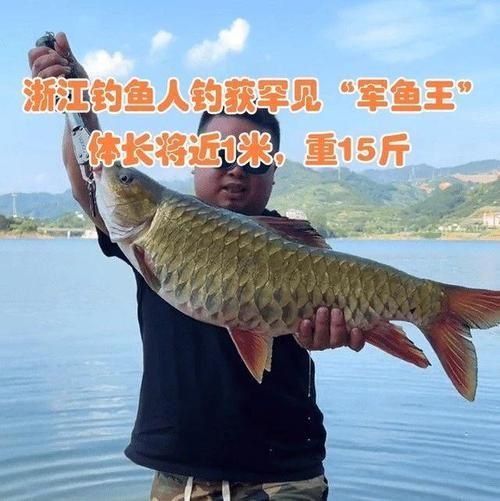 軍魚圖片及價格