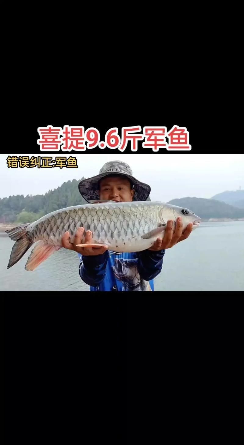 軍魚圖片及價格