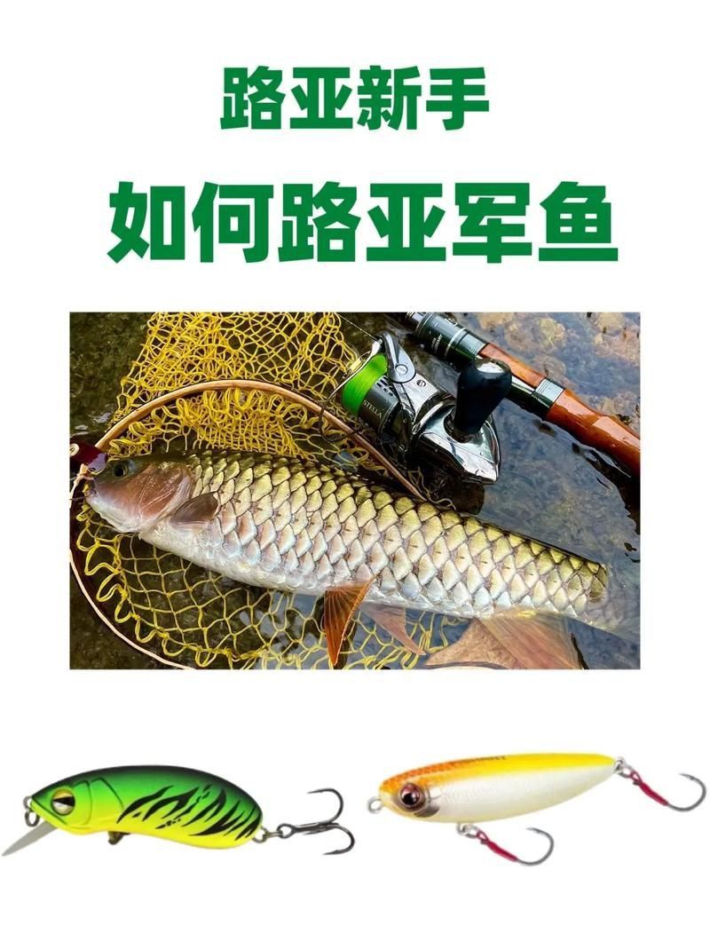 軍魚圖片及價格