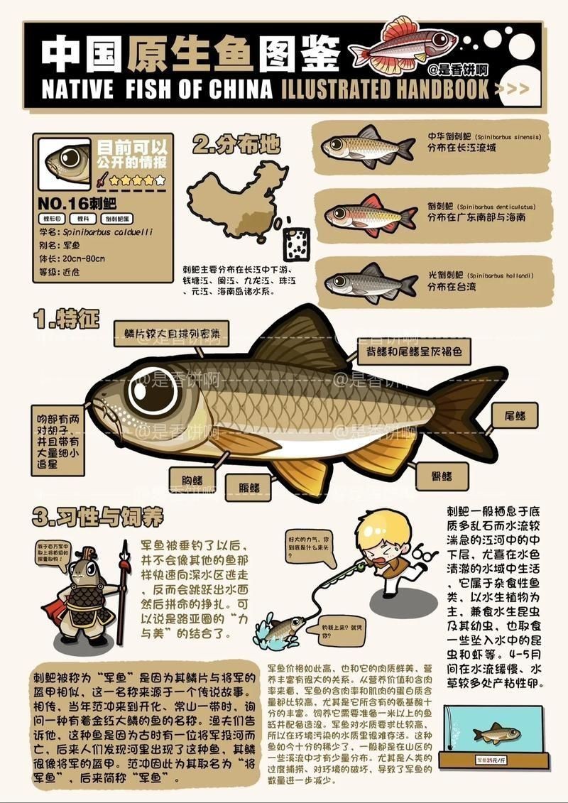 軍魚圖片及價格