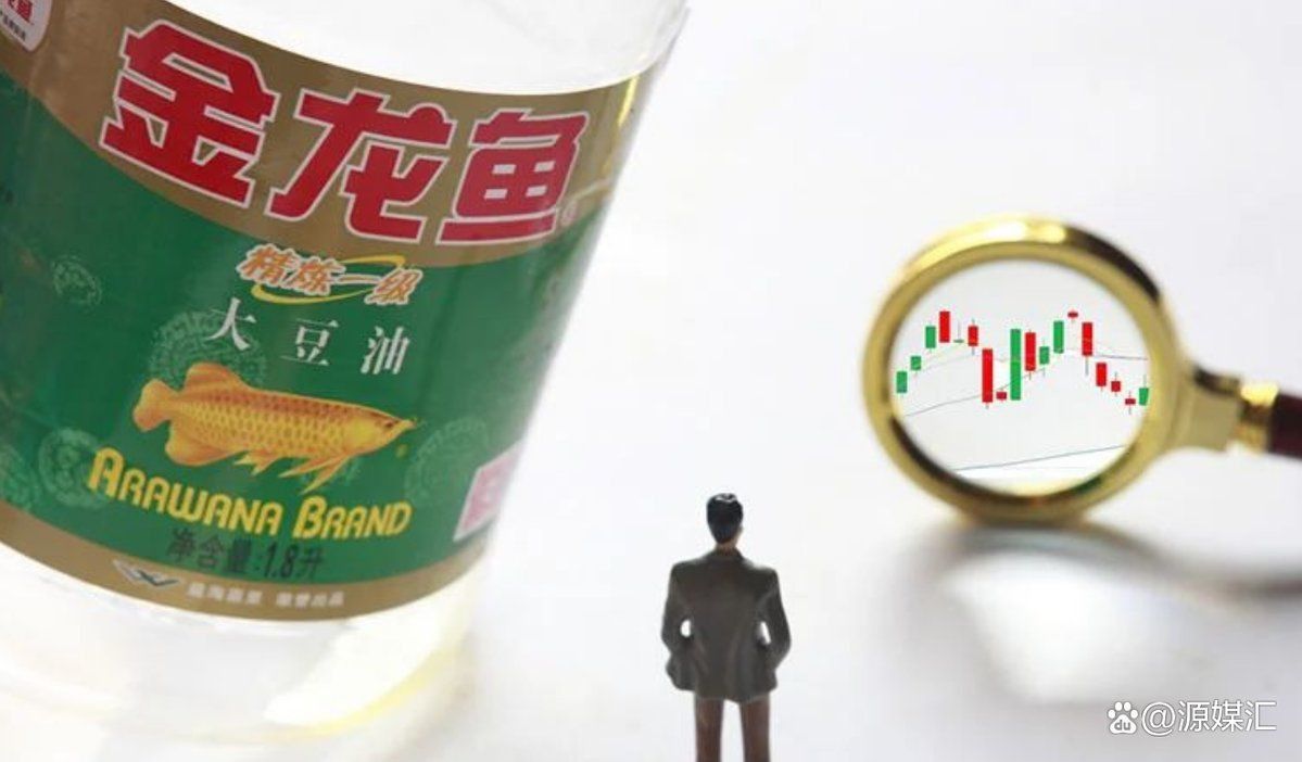 金龍魚(yú)收購(gòu)中國(guó)一覽表 金龍魚(yú)收購(gòu)中國(guó)一覽表 龍魚(yú)百科 第5張