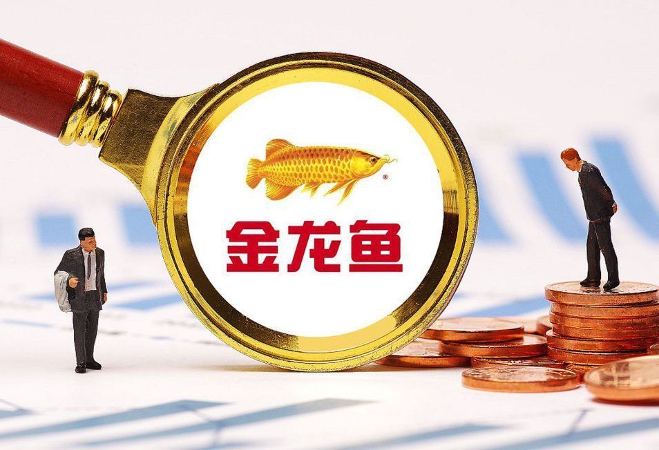 金龍魚(yú)收購(gòu)中國(guó)一覽表 金龍魚(yú)收購(gòu)中國(guó)一覽表 龍魚(yú)百科 第6張