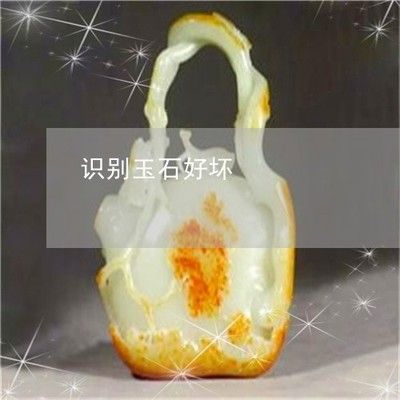 龍魚怎么辨別好壞：如何鑒別龍魚的好壞 龍魚怎么辨別好壞：如何鑒別龍魚的好壞 龍魚百科 第5張