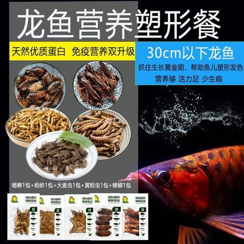 紅龍魚飼料哪個牌子好用一點
