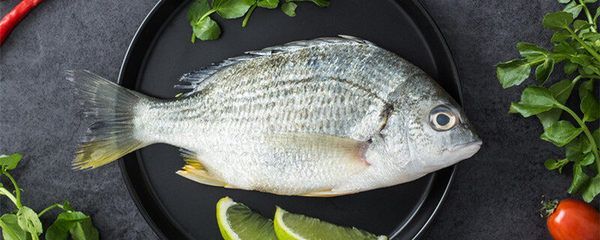 龍魚魚缸水位高度多少合適養魚:龍魚魚缸水位高度多少合適? 龍魚百科 第3張 龍魚魚缸水位高度多少合適養魚:龍魚魚缸水位高度多少合適? 龍魚魚缸水位高度多少合適養魚:龍魚魚缸水位高度多少合適? 龍魚百科 第3張