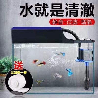 金九龍魚缸配件 金九龍魚缸配件 龍魚百科 第1張