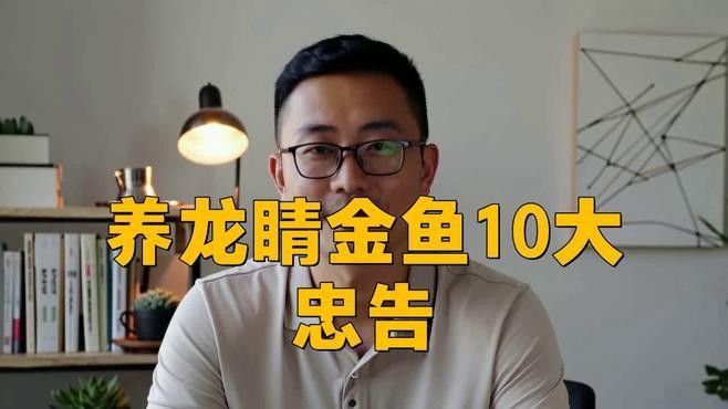龍種金魚如何飼養？ 龍種金魚如何飼養？ 龍魚百科 第1張